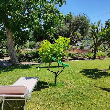 Il Giardino Lejlighed Barano dʼIschia Eksteriør billede