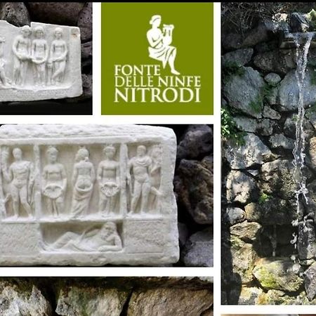 Il Giardino Lejlighed Barano dʼIschia Eksteriør billede