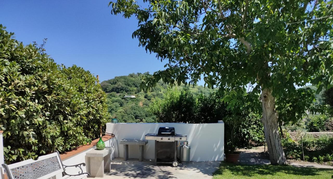 Il Giardino Lejlighed Barano dʼIschia Eksteriør billede
